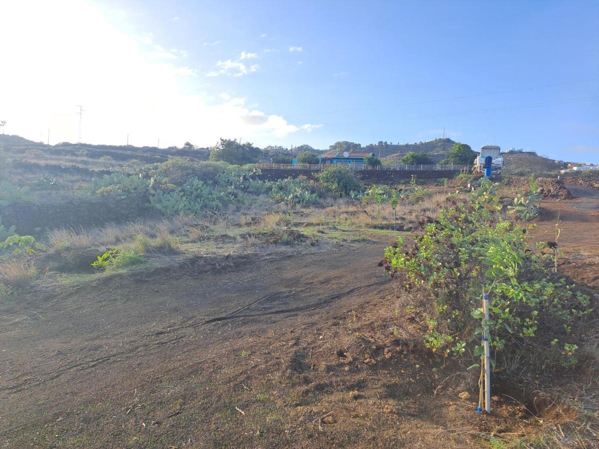 Las Casitas De Pao El Pinar (El Hierro) Exterior foto