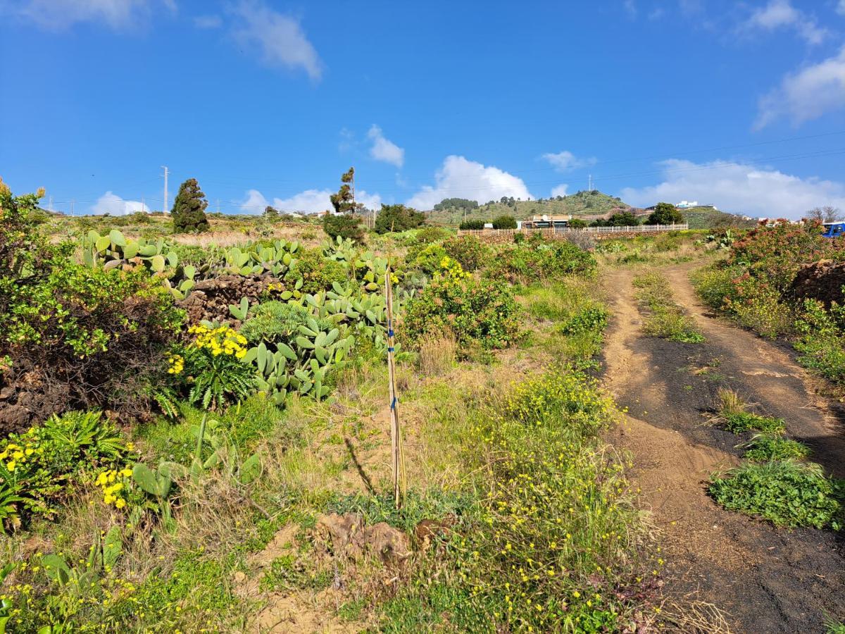 Las Casitas De Pao El Pinar (El Hierro) Exterior foto