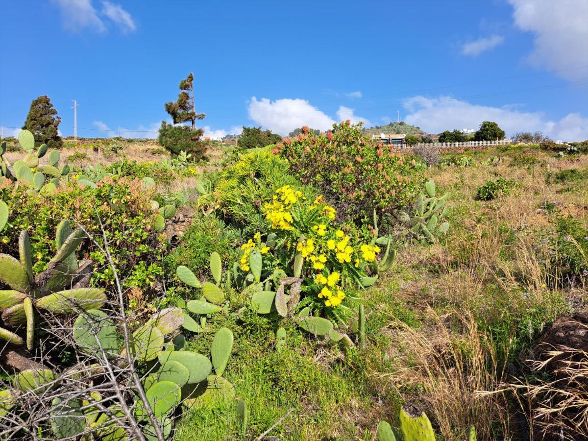 Las Casitas De Pao El Pinar (El Hierro) Exterior foto