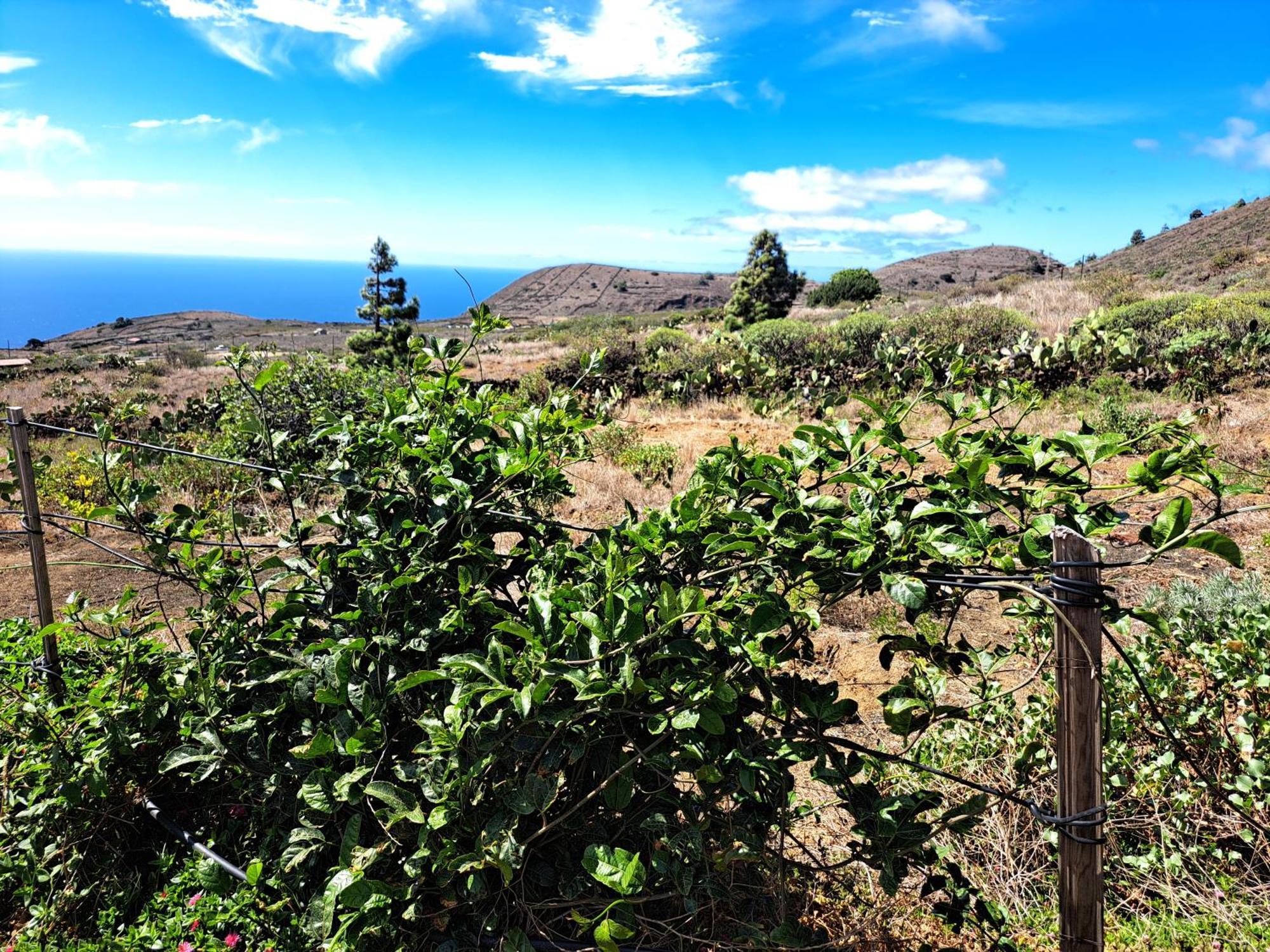 Las Casitas De Pao El Pinar (El Hierro) Quarto foto
